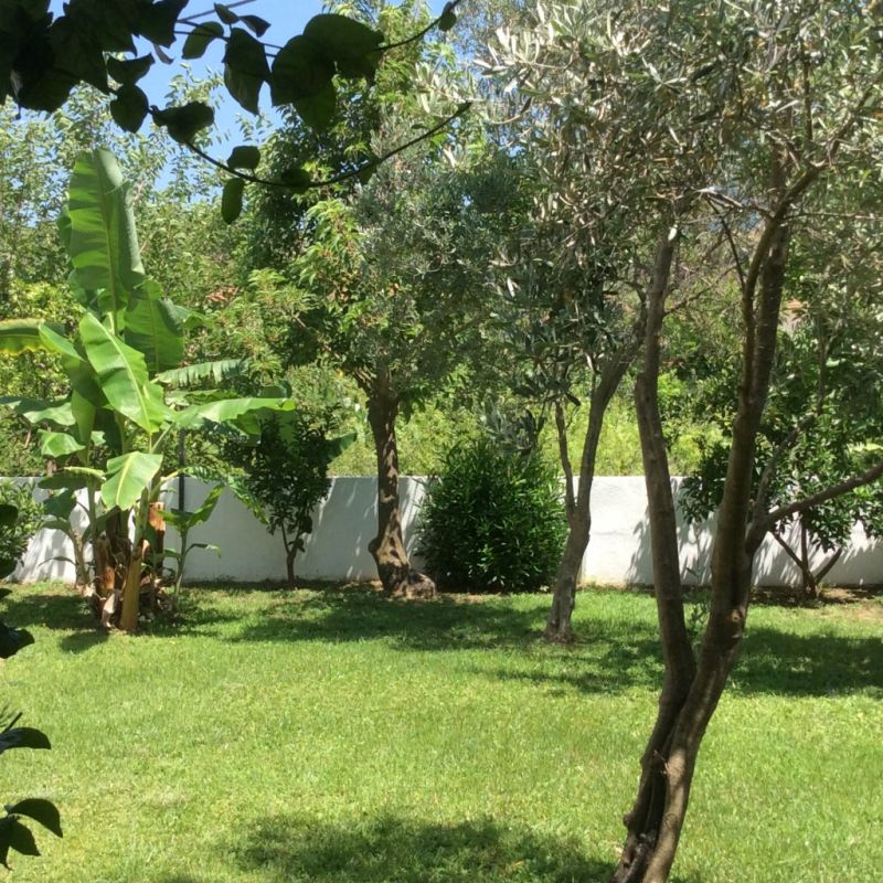 Villa Hatıra 8