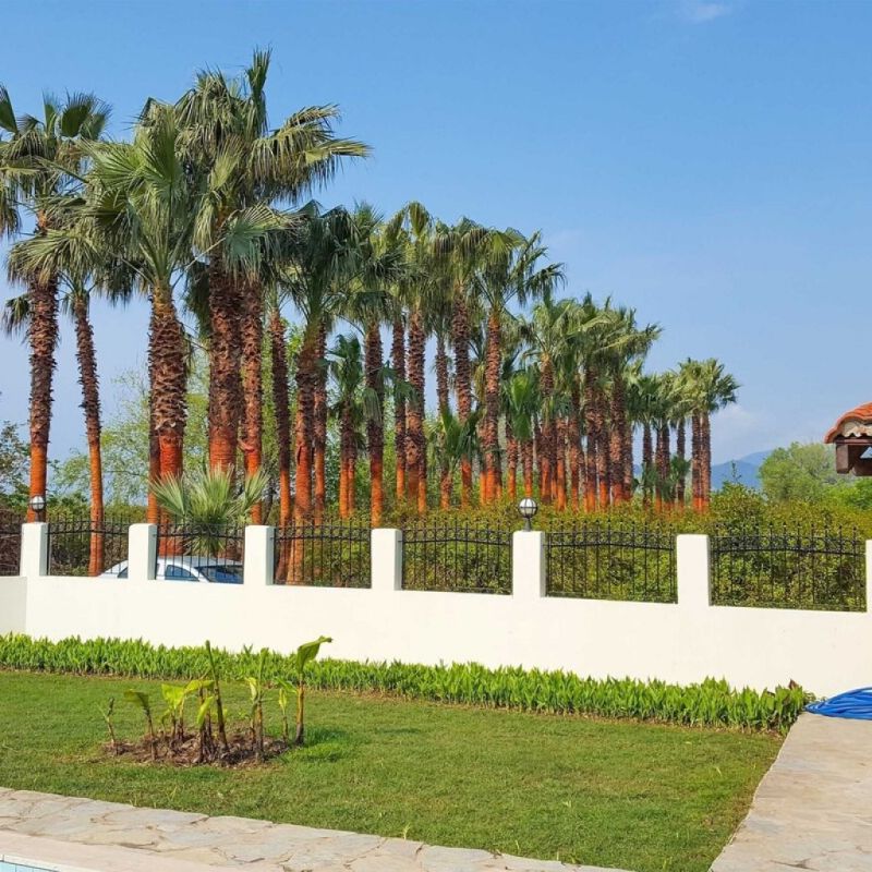 Villa D'Louca 16