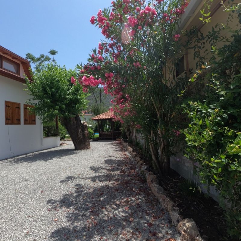 Villa Mulberry House 3